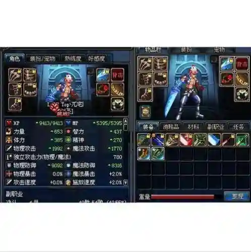 dnf冰沙宠物装备插图