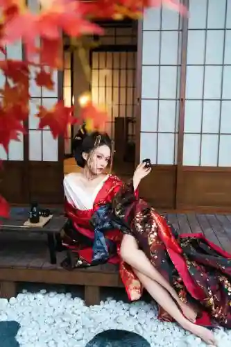 打花魁阵容插图1