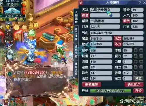梦幻西游09全敏4固伤女儿插图