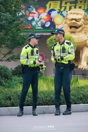 最强交警阵容插图1