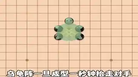 下棋龟壳阵容插图