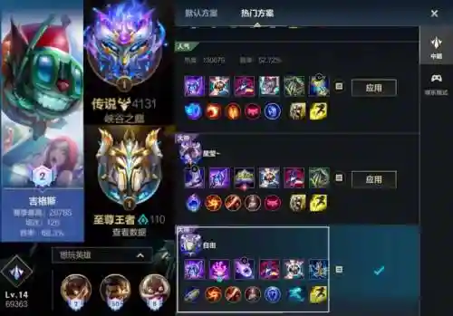 辅助光辉装备搭配插图1