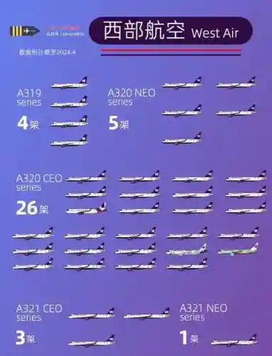 飞机309阵容插图1