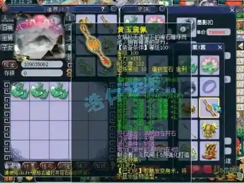 梦幻西游天宫暗属性插图
