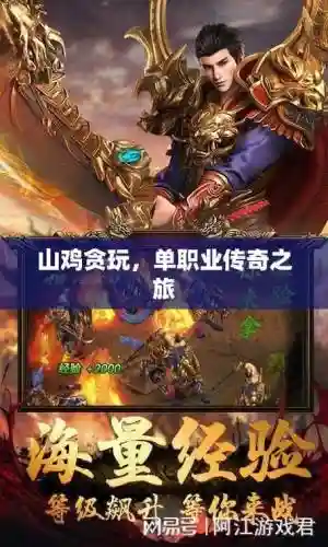 贪玩山鸡单职业攻略_1插图
