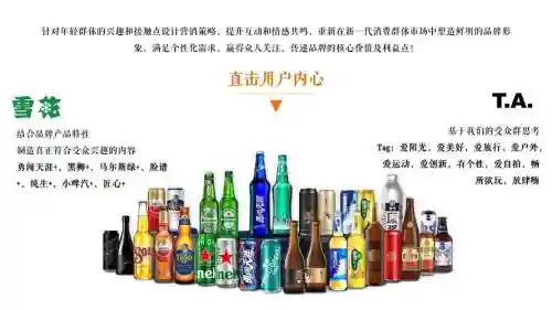 雪花啤酒阵容_1插图1