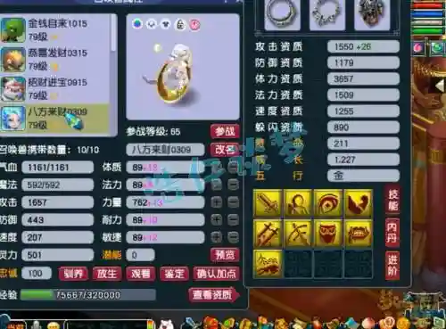 梦幻69普陀pk装备选择插图