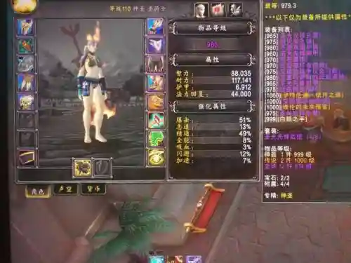 8.0奶骑技能cd插图