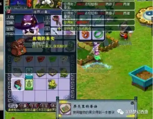 梦幻西游耕种3级种啥好插图