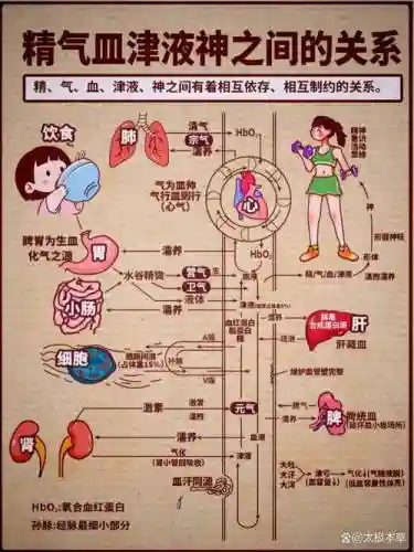 25人上阳宫气血轴攻略插图