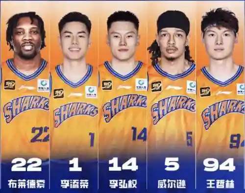 双鲨鱼阵容插图1