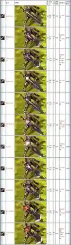 永恒之塔20装备技能查看插图1