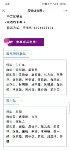 澄迈杯阵容插图