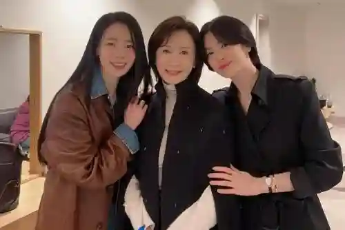 妍珍阵容插图