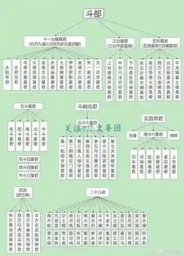 神仙医护阵容插图1