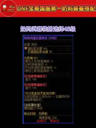 dnf养猪奶妈装备选择_1插图1