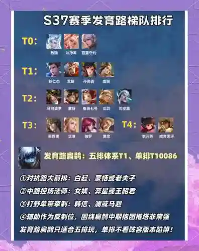 扁鹊超强阵容搭配插图