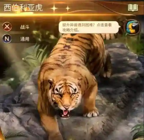 老虎最强阵容搭配