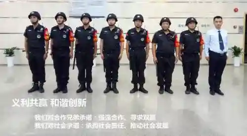 最强安保阵容插图