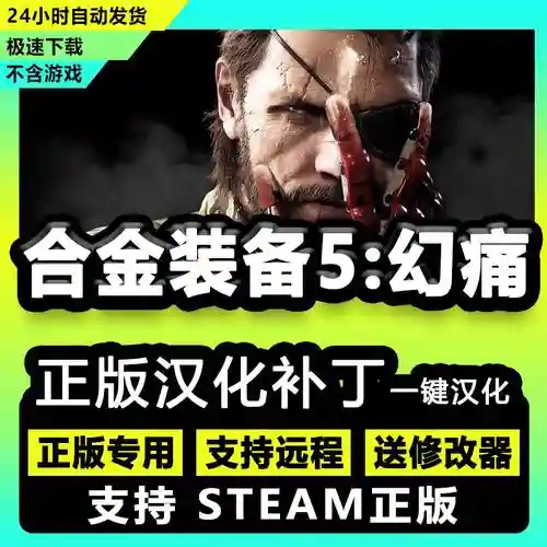 steam合金装备5汉化插图