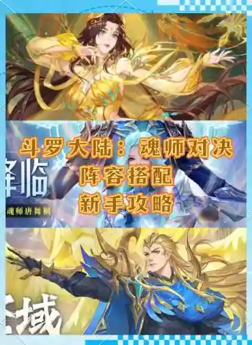 斗罗大陆的英雄搭配阵容插图