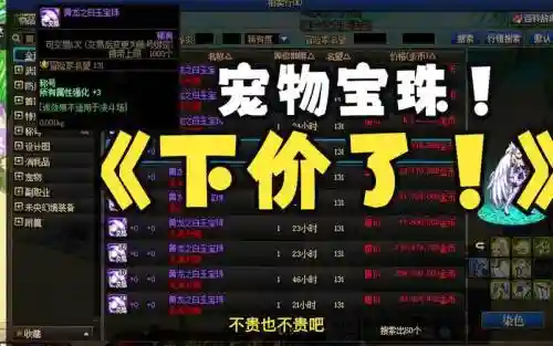 宠物装备附魔插图