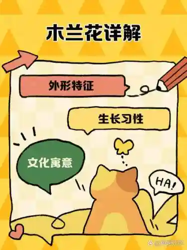 花木兰攻略讲解插图1