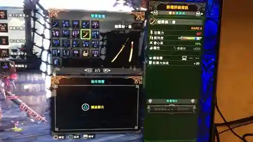 烂辉龙装备素材