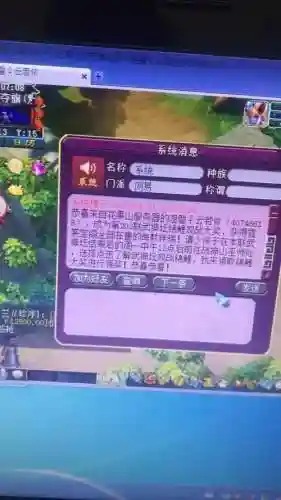 梦幻西游因使用被盗物品插图