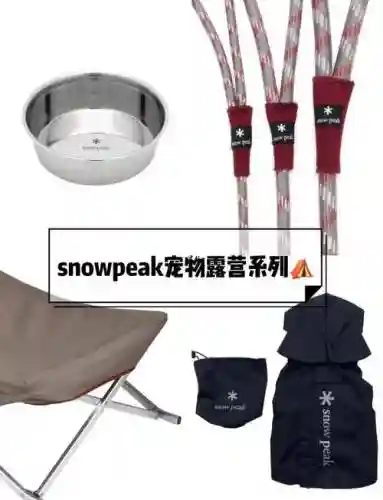 今年宠物装备换哪个牌子好插图1