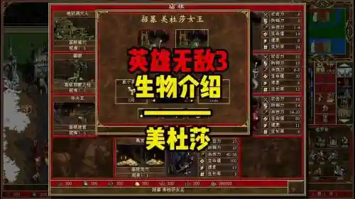 英雄无敌3女王万岁攻略插图