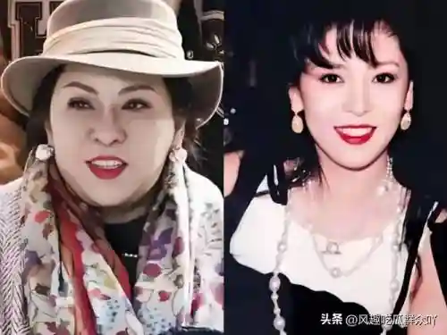 陈岚阵容插图
