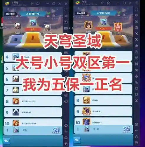 圣域双星阵容插图