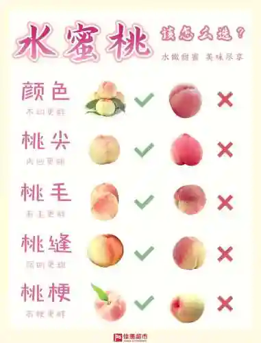 蜜桃搭配阵容_1插图1