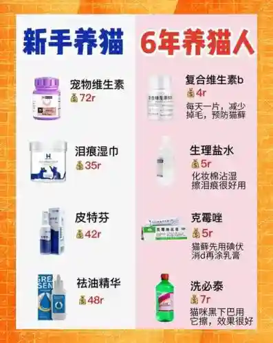 今年宠物装备换哪个牌子好插图