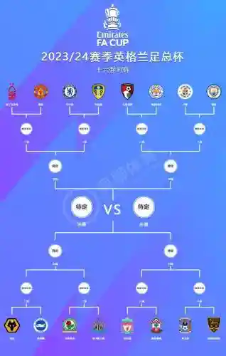 足总杯解说阵容_2插图
