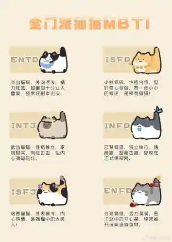 大小猫阵容插图
