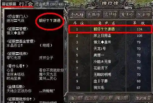 传奇续章白日门技能书插图1