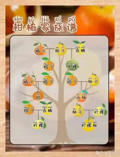 橘子阵容搭配插图
