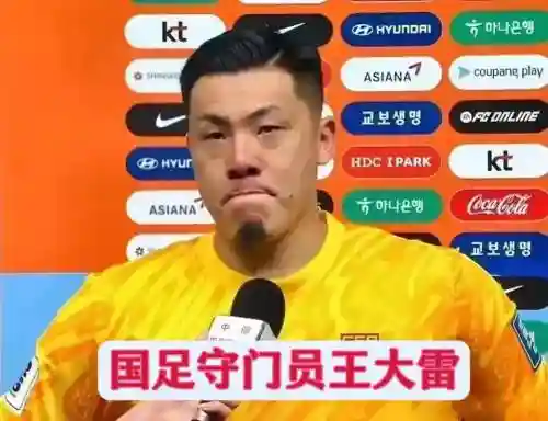 王大雷申花阵容插图1