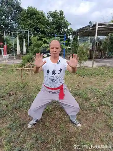 达摩武馆阵容插图