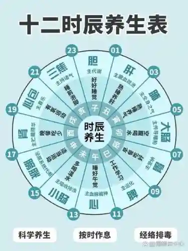 25人上阳宫气血轴攻略插图1