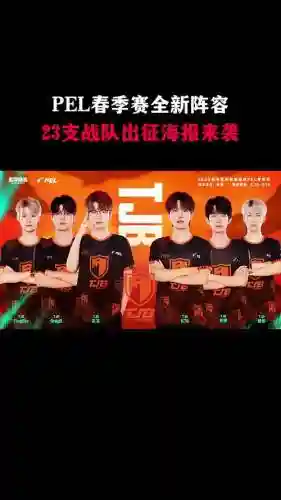 pel新阵容插图1