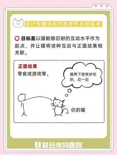 随从猫技能麻痹攻击插图1