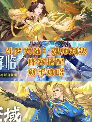 斗罗大陆小说决战阵容搭配_1插图