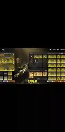 荒野行动为什么武器用不了插图