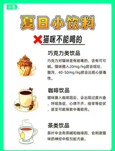 猫千杯清爽攻略_1插图