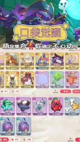 口袋觉醒阵容推荐搭配谁_1插图