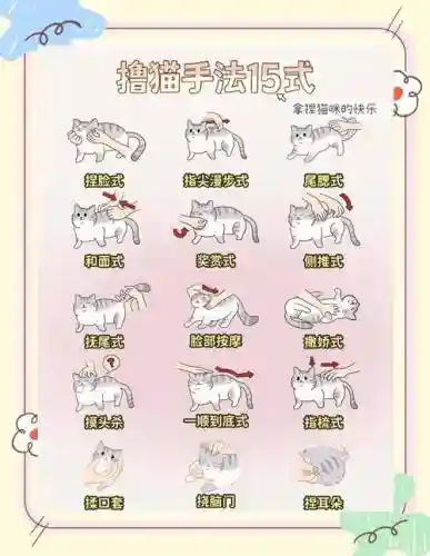 猫千杯清爽攻略_1插图1