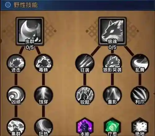 德鲁伊的阵容搭配和阵容组成